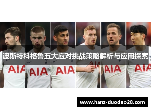波斯特科格鲁五大应对挑战策略解析与应用探索