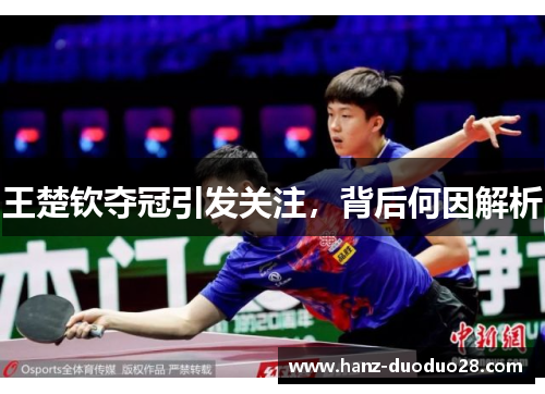 王楚钦夺冠引发关注，背后何因解析