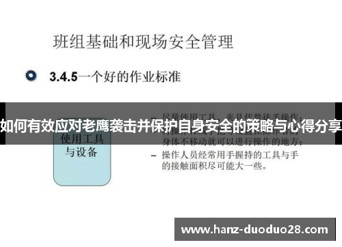 如何有效应对老鹰袭击并保护自身安全的策略与心得分享