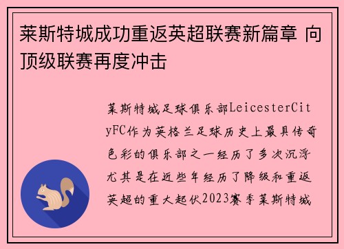 莱斯特城成功重返英超联赛新篇章 向顶级联赛再度冲击